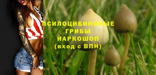 дмт Беломорск