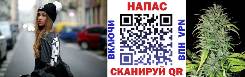 Бошки марихуана VHQ  darknet Telegram  Городище  mega ссылка 